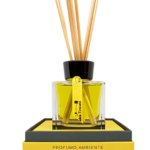 idea toscana Prabangaus eterinių aliejų mišinio namų kvapas OLIVO, 100 ml