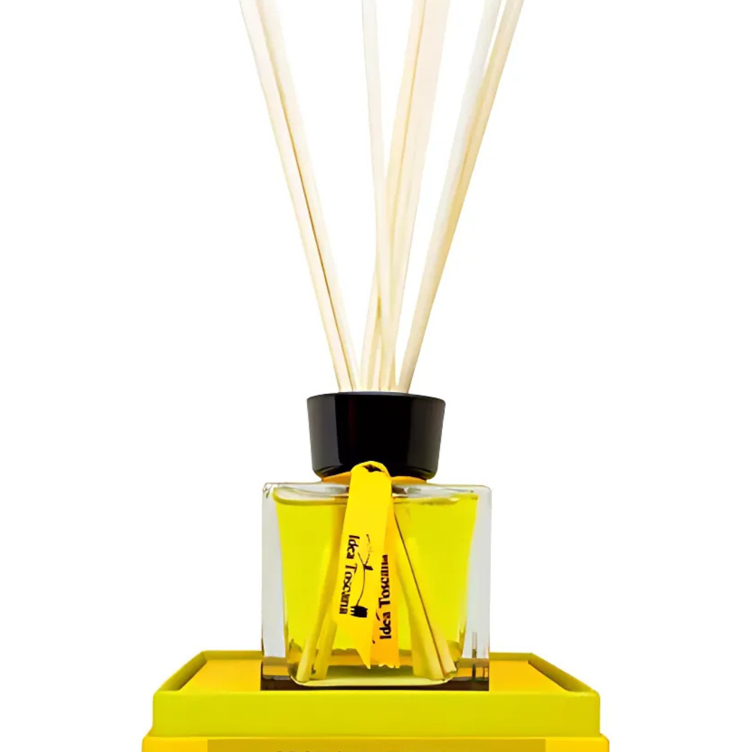 Prabangaus eterinių aliejų mišinio namų kvapas CITRUS FRUITS, 100 ml